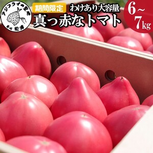 【A7-031】期間限定　真っ赤なトマトわけあり大容量6kg～7kg