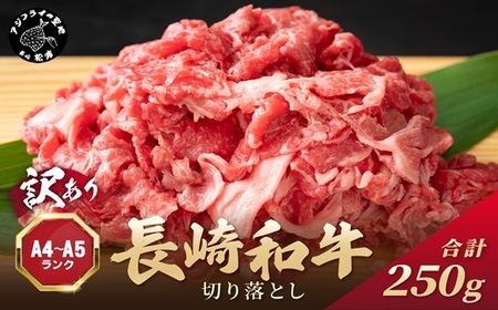 訳あり![A4〜A5]長崎和牛切り落とし250g( 牛肉 おすすめ 長崎和牛 バーベキュー 焼肉 切り落とし 冷凍 国産 送料無料 赤身 )