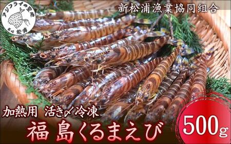 加熱用 活き〆冷凍福島くるまえび500g( 車エビ クルマエビ くるまえび えび エビ 海老 加熱用 )