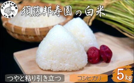 [令和7年産米]須藤邦寿園の白米 コシヒカリ5kg( 米 コメ お米 コシヒカリ こしひかり 5kg 5キロ 甘い 甘み 粘り 精米 国産 送料無料 )