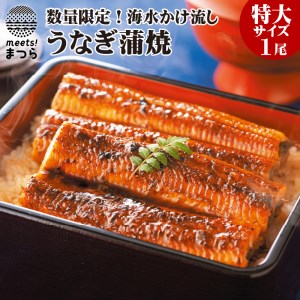 数量限定！海水かけ流しうなぎ蒲焼　特大サイズ1尾【B6-025】