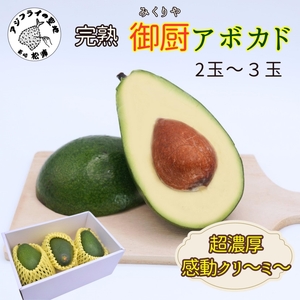 完熟国産アボカド「御厨(みくりや)アボカド」2玉〜3玉