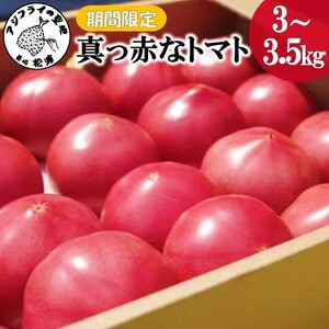 期間限定　真っ赤なトマト3kg～3.5kg【A9-015】