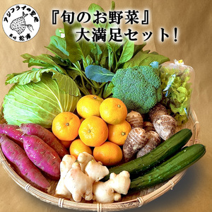 【A7-053】道の駅松浦海のふるさと館『旬のお野菜』の大満足セット！（ 野菜 やさい 旬 おいしい 野菜セット ）