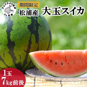 松浦産大玉スイカ(1玉7kg前後) ( すいか 西瓜 野菜 夏野菜 産地直送 期間限定 数量限定 ミネラル 新鮮 甘い あまい 大玉 ギフト プレゼント 贈り物 予約 )