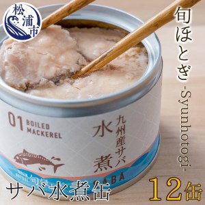 【B0-113】缶詰工場直送　伝統のさば缶「旬ほとぎ」水煮12缶