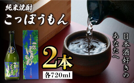 純米焼酎 こっぽうもん 25度 720ml 2本セット[対馬市][株式会社サイキ]対馬 酒 贈り物 米焼酎 プレゼント 焼酎 