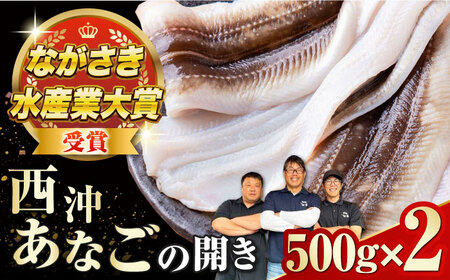 対馬産 天然あなごの開き500g×2[対馬市][すし処慎一]国産 肉厚 穴子 アナゴ 新鮮 冷凍 白焼き 天ぷら 揚げ物 贈り物 