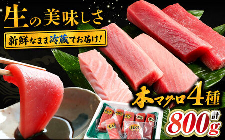 対馬産 生 本マグロ 800g （赤身、中トロ、大トロ） [WAH026] 中トロ 大トロ まぐろ マグロ 鮪