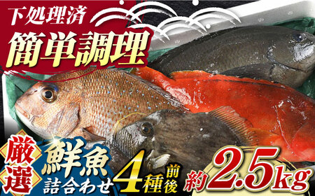 [期間限定!]対馬産 鮮魚 詰め合わせ 4種前後 2.5kg[対馬市][対海]新鮮 天然 直送 冷蔵 セット 