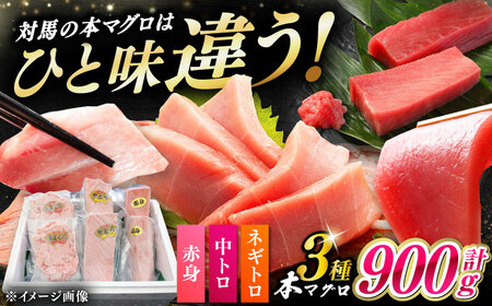 ΔnY {}O 3 v900giԐg/g/lMgjsΔnstyΊCz Ⓚz Hה 蕨 [WAH029]