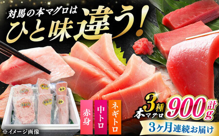[全3回定期便] 対馬産 本マグロ 3種 計900g(赤身/中トロ/ネギトロ)[対馬市][対海] 冷凍配送 食べ比べ 贈り物 魚介類