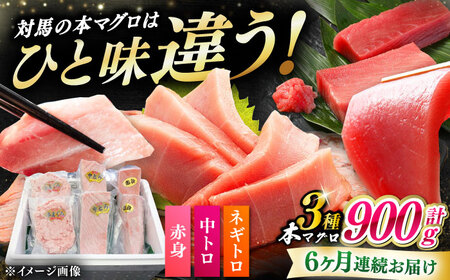 yS6ցz ΔnY {}O 3 v900giԐg/g/lMgjsΔnstyΊCz Ⓚz Hה 蕨 [WAH041]
