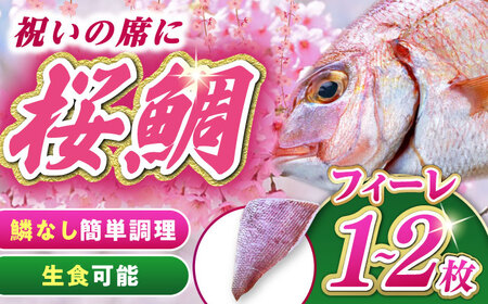 天然 桜鯛 フィーレ 500g 程度[対馬市][対馬新鮮組] 下処理済 鯛 真鯛 サクラダイ 新鮮 お祝い 冷凍配送 産地直送