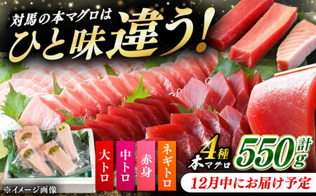 [12月中にお届け]対馬産 養殖 本マグロ 4種×各1パック ( 赤身 / 中トロ / 大トロ / ネギトロ )[対馬市][対海] マグロ 鮪 本鮪 トロ[WAH003-12]