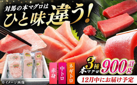y12ɂ͂zΔnY {}O 3 v900giԐg/g/lMgjsΔnstyΊCz Ⓚz Hה 蕨 [WAH029-12]