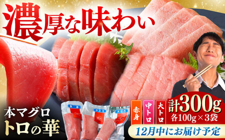 [12月中にお届け]対馬産 本マグロ 詰め合わせ ≪対馬市≫[桐谷商店] トロの華 対馬 新鮮 マグロ 大トロ 鮪 刺身 鮮度抜群[WAQ003-12]