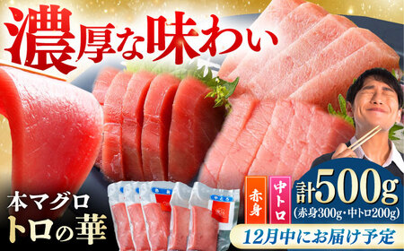 [12月中にお届け]対馬産 本マグロ 500g(赤身300g、中トロ200g) ≪対馬市≫[桐谷商店] トロの華 対馬 新鮮 マグロ トロ 鮪 刺身 鮮度抜群[WAQ043-12]