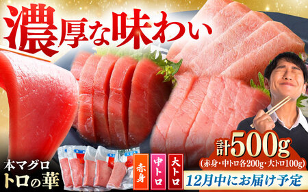[12月中にお届け]対馬産 本マグロ 500g(赤身200g、中トロ200g、大トロ100g)≪対馬市≫[桐谷商店] トロの華 対馬 新鮮 マグロ 大トロ 鮪 刺身 鮮度抜群[WAQ055-12]