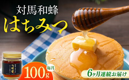 【全6回定期便】 対馬 和蜂 はちみつ 100g×1本 《対馬市》【特定非営利活動法人 對馬次世代協議会（対馬コノソレ）】 蜂蜜 ハチミツ 日本ミツバチ ニホンミツバチ[WAM044]