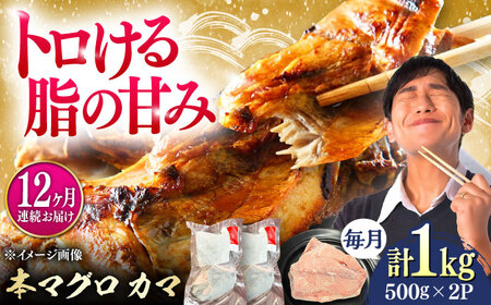 【全12回定期便】対馬産 本マグロ カマ 1kg ≪対馬市≫【桐谷商店】 トロの華 対馬 新鮮 マグロ かま 鮪[WAQ098]