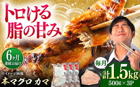 【全6回定期便】対馬産 本マグロ カマ 1.5kg ≪対馬市≫【桐谷商店】 トロの華 対馬 新鮮 マグロ かま 鮪[WAQ101]