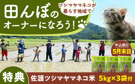 対馬 佐護 ツシマヤマネコ 米 田んぼオーナー1年権[ツシマヤマネコ米15kg付き](対馬市)[一般社団法人MIT] 米作り体験 田植え 体験 稲刈り 離島 チケット 新米