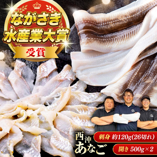 【対馬西沖あなご堪能セット】 刺身120g 開き500g×2 《対馬市》【すし処慎一】 あなご 国産 肉厚 穴子 アナゴ 新鮮 鮮魚 冷凍[WCO006]