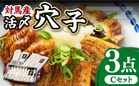 対馬産 活〆 穴子 ３点 セット C 海鮮 あなご 刺身 干物  [WAS003]