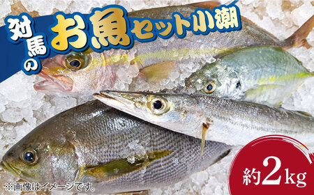 対馬 のお 魚 (小潮) 2kg [対馬市][ゆうなぎ対馬] 鮮魚 新鮮 海鮮 イカ サザエ アジ クエ ヒラマサ ハタ [WAG002]冷蔵 生魚 鮮魚 朝獲れ 地魚 旬 新鮮 アジ クエ ヒラマサ 刺身 お試し つしま 長崎