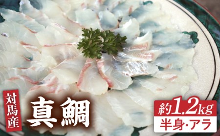 対馬マダイ3枚卸 [WAD005] 鯛 真鯛 タイ たい お造り 海鮮丼 海鮮 活魚 魚 白身 海産物 魚介類 お刺身 コダワリ鯛 こだわり鯛 おすすめ鯛 おススメ鯛 人気鯛 定番鯛 通販鯛 お取り寄せ鯛 自宅用鯛 贈答鯛