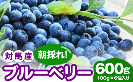 [先行予約]対馬産 朝採れ 大粒 ブルーベリー ( 青果 ) 600g [2025年7月上旬以降順次発送][対馬市][さほの里ファーム] フルーツ 果物 生食 新鮮 朝食 冷蔵 