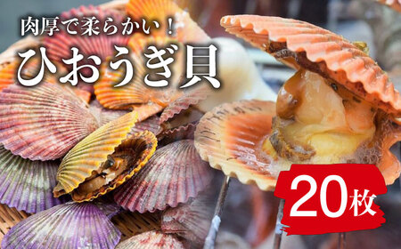 ひおうぎ貝 20枚 [ 対馬市 ][ うえはら株式会社 ] 新鮮 肉厚 海産物 対馬産 貝 BBQ 冷凍 疲労回復 特産品 ビタミン 