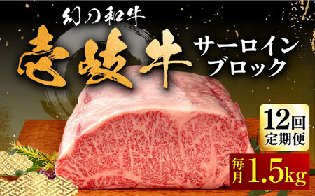yS12ցz T[C ubN 1.5kg ssty×z T[C Xe[L BBQ ē  Ԑg [JFS026] 1164000 1164000~