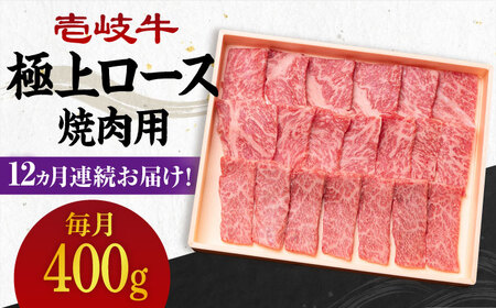yS12ցz sA4?A5Nt ɏ [X 400giēpjsstys_Ƌgz   [X ē Ԑg BBQ [JBO085] 384000 384000~