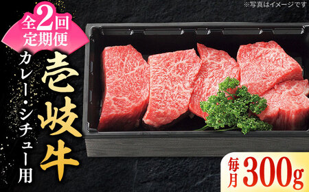 [全2回定期便] 特選 壱岐牛 すね肉 300g(カレー・シチュー用)[壱岐市][太陽商事]肉 牛肉 黒毛和牛 ブランド牛 カレー シチュー 赤身 チマキ 煮込み ブロック 国産 九州 お祝い