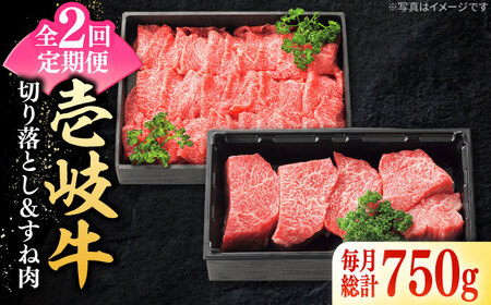 [全2回定期便] 特選 壱岐牛 切り落とし(450g)&すね肉(300g)[壱岐市][太陽商事] 肉 牛肉 切り落とし 切落し 薄切り すき焼き しゃぶしゃぶ カレー シチュー 煮込み 定期便