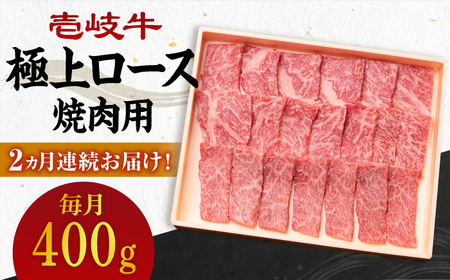 yS2ցz  ɏ [X 400giēpjsstys_Ƌgz   ē [X BBQ Ԑg [JBO120] 64000 64000~