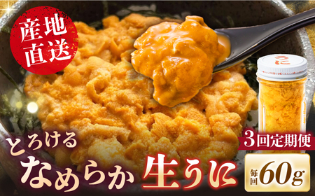 [全3回定期便]数量限定!壱岐の生うに 60g×1本[壱岐市][JEH025] うに うに うに うに うに