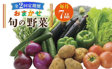 [全2回定期便]旬の野菜セット 7品[壱岐市][壱岐市農業協同組合]季節 健康 栄養 やさい 詰め合わせ