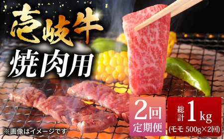 [全2回定期便]壱岐牛焼き肉セット 500g[壱岐市][株式会社ヤマグチ]牛肉 黒毛和牛 ブランド牛 九州 肉[JCG126] 九州