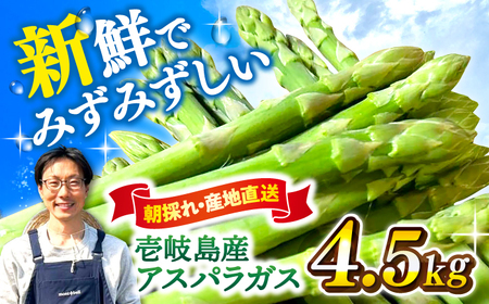 [アスパラガス専門農家が作る!]壱岐産アスパラガス4.5kg≪壱岐市≫[きたじま農園] 国産 冷蔵配送 産地直送 朝採れ 新鮮 [JGI001] 九州