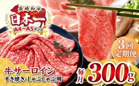 yS3ցzyIʁzyA4?A5Nz a T[C XCX 300giĂEԂԁjsstyMEAT PLUSz  јa T[C J [JGH072]
