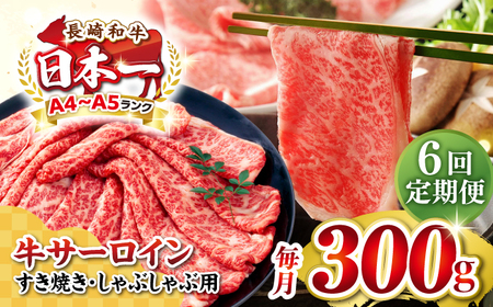 yS6ցzyIʁzyA4?A5Nz a T[C XCX 300giĂEԂԁjsstyMEAT PLUSz  јa T[C J [JGH073]