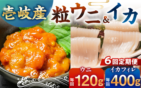 [冷凍]全6回定期便 壱岐産剣先イカフィレ(80g)×5枚 壱岐産粒うに瓶60g×1本 [壱岐市] [一支國屋][JCC018] 九州