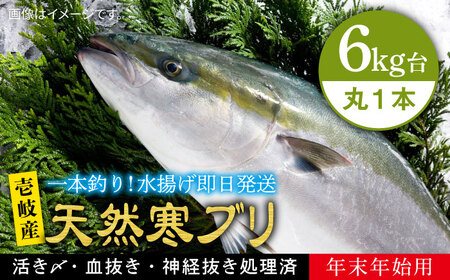 [お正月用]壱岐島産天然寒ブリ(6キロ台・丸もの)寒ブリ 寒ブリ 寒ブリ 寒ブリ 寒ブリ