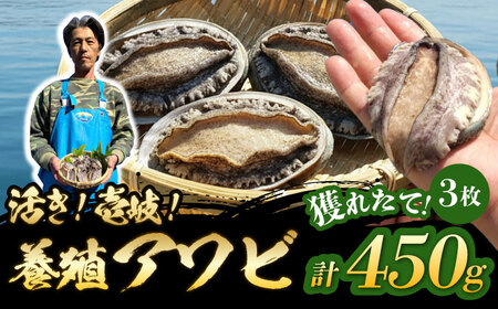 Y{BAr IIAr v450gi150g×3jsstyZgYzAr  {B L CY  L Yn hg ①[JDQ008]