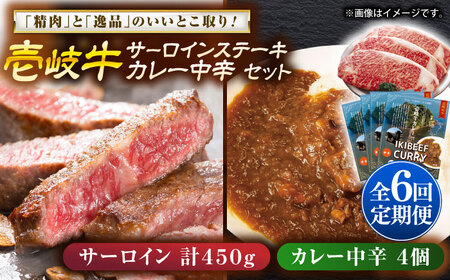 【全6回定期便】サーロインステーキ＆カレー中辛 肉 和牛 [JDW120]