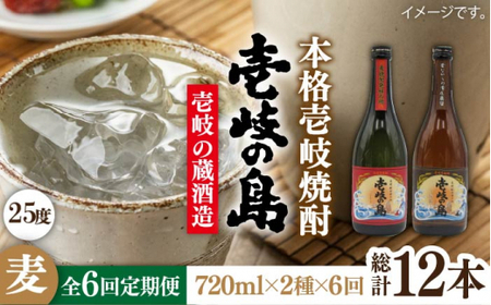 【全6回定期便】壱岐の島 伝匠 と 壱岐の島 25度 720ml 2本入りセット 《壱岐市》【天下御免】[JDB232]