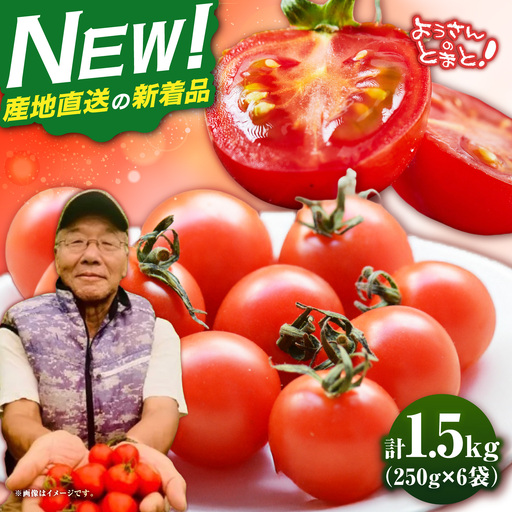 [先行予約]完熟ミニトマト 1.5kg [JHC001] トマト 野菜